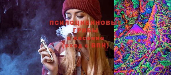прущие крисы Горняк