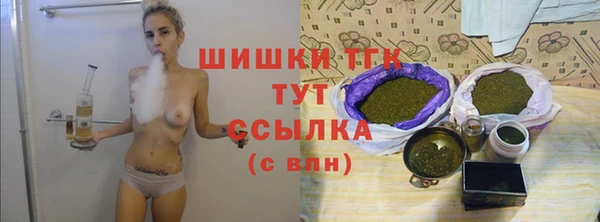 прущие крисы Горняк