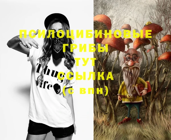 амф Валдай