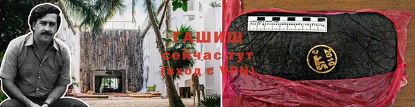 ГАЛЛЮЦИНОГЕННЫЕ ГРИБЫ Вязники